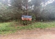 Działki budowlane w lesie niedaleko Bugu-Arciechów miniaturka 8