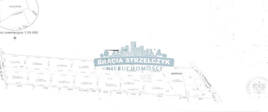 Chojnów, 860 000 zł, 30.06 ar, prostokątna miniaturka 6