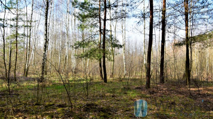 Ludwinów, 93 375 zł, 12.45 ar, droga dojazdowa gruntowa miniaturka 5