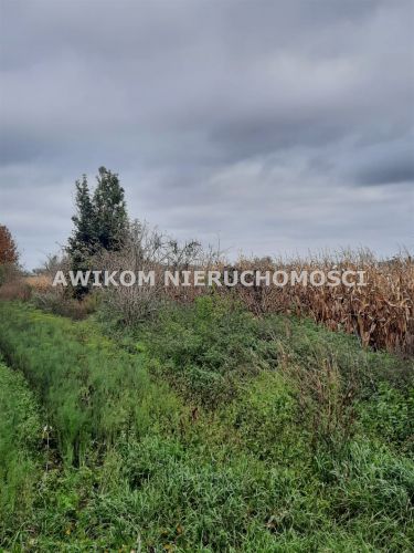 Murowaniec, 647 500 zł, 2.59 ha, rolna