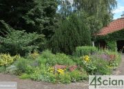 Opypy, 2 250 000 zł, 347 m2, dobry standard miniaturka 13