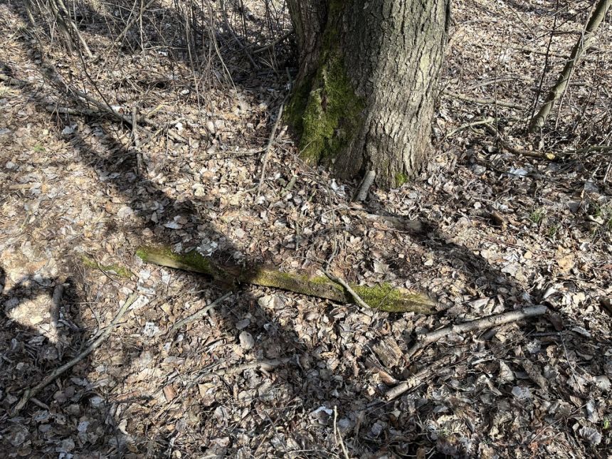 Działka o pow. 2,08 ha w m. Kawęczyn gm. Ciepielów miniaturka 8