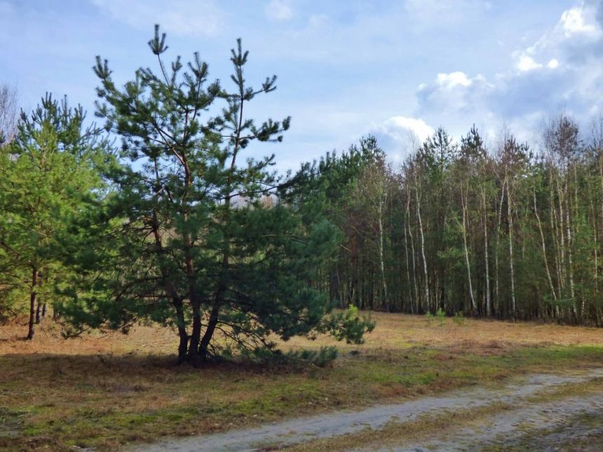 DZIAŁKA 3700 m² WÓLKA ŁEKAWSKA miniaturka 6