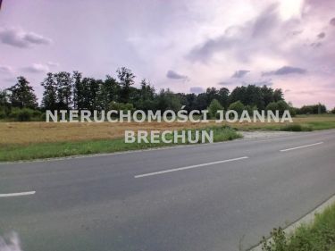 Tyniec Mały, 3 800 000 zł, 1.18 ha, budowlana