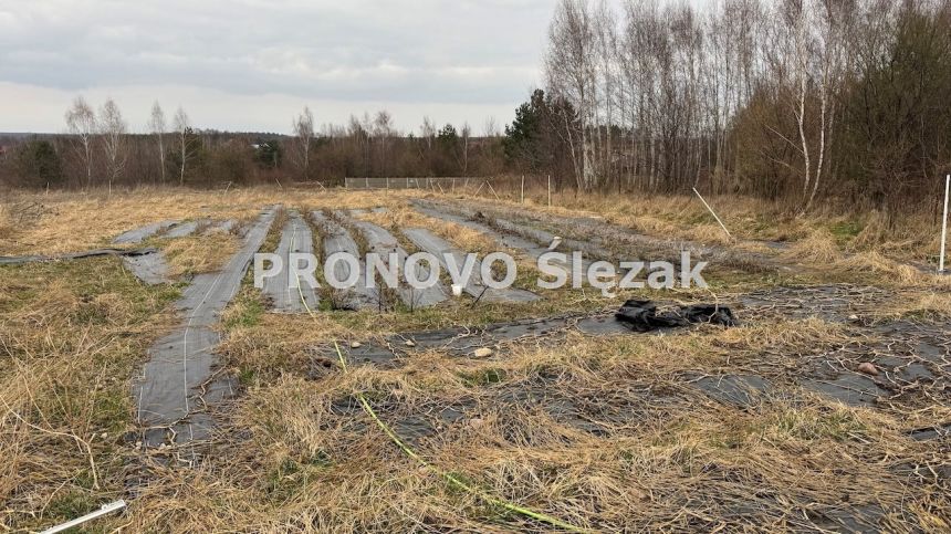 Działka 7000 m², Osolin k. Obornik Śląskich miniaturka 7