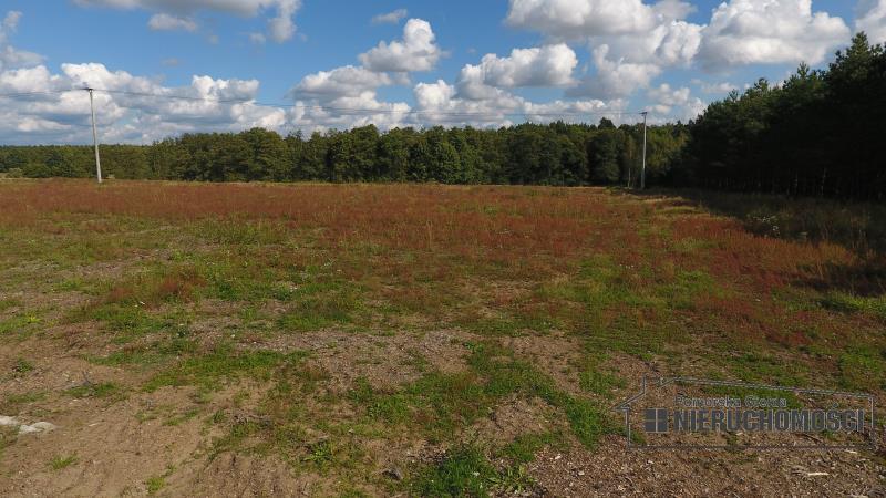 Działki nad rzeką Gwda w Lubnicy, gm. Okonek. miniaturka 15