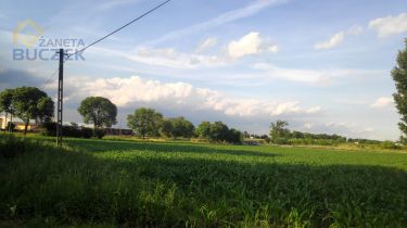 Kopytów, 5 175 000 zł, 3.45 ha, przyłącze prądu
