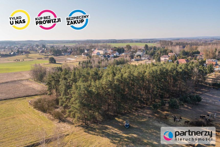 Zwierzewo, 1 699 000 zł, 2.21 ha, przyłącze prądu miniaturka 14