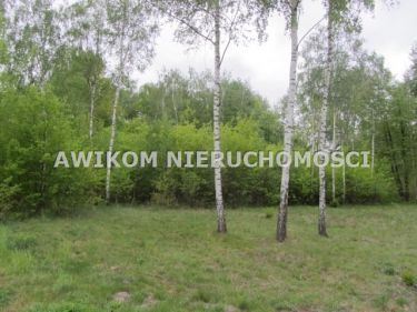 Adamowizna, 530 000 zł, 15.84 ar, budowlana