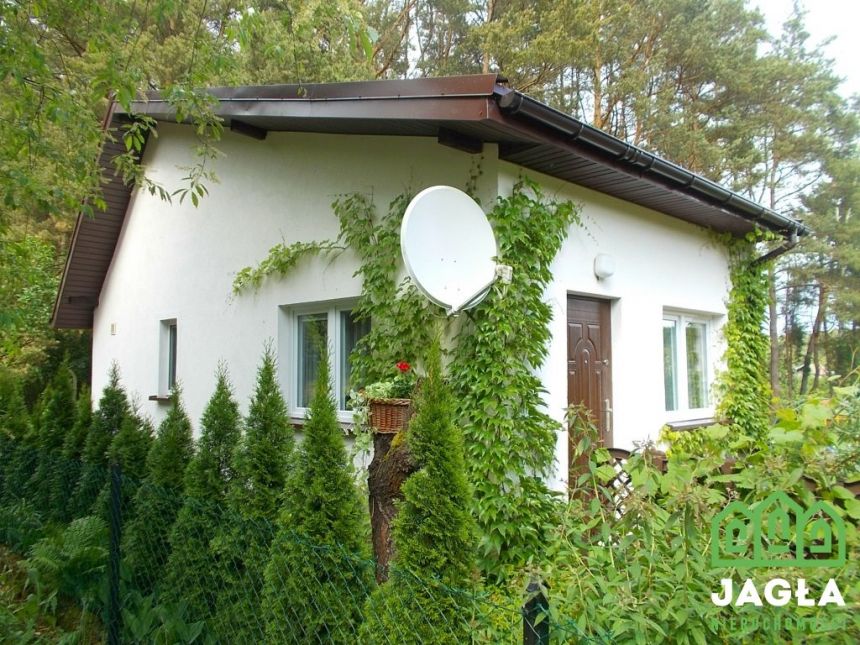 Działka ROD całoroczna Opławiec Bydgoszcz 400/60m2 miniaturka 17