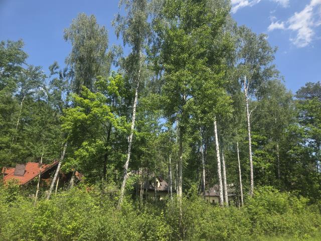 za Sarnią, 3 do wyboru, warunki zabudowy miniaturka 9