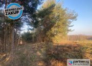 Strzebielino, 499 000 zł, 1.16 ha, przyłącze prądu miniaturka 6