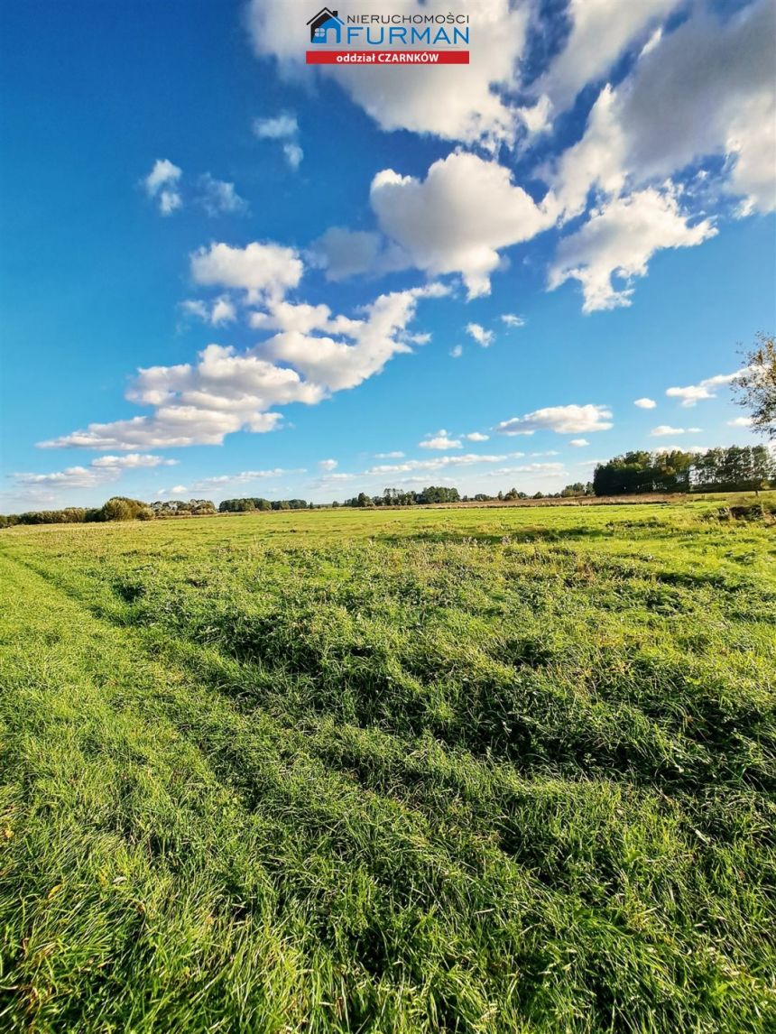 Radolin, 139 000 zł, 9900 m2, do remontu miniaturka 5