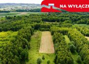Działka rolna - 4677 m² Skrzyszów miniaturka 1