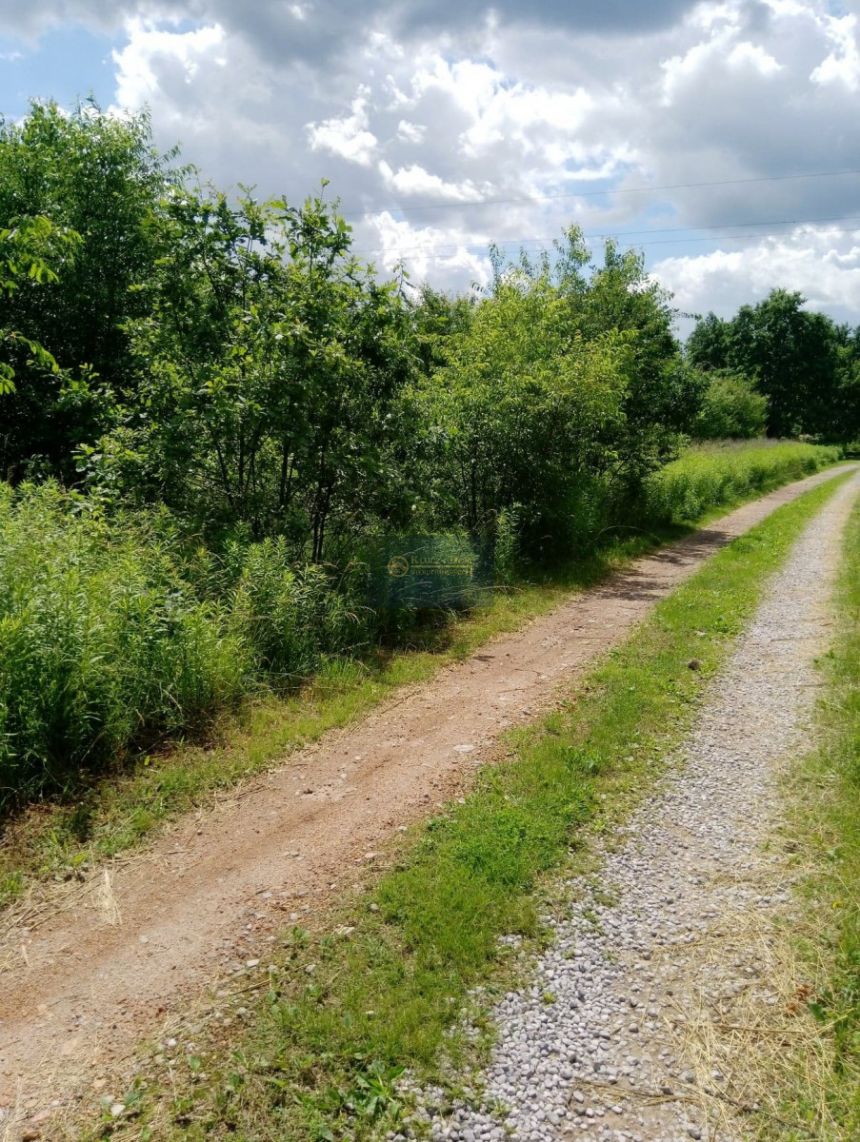 Żółwin, 691 900 zł, 12.58 ar, droga dojazdowa utwardzona miniaturka 5