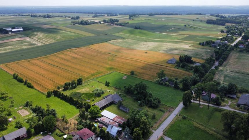 FILM / Opcja zwiększenia działki do > 2 HEKTARÓW ! miniaturka 6