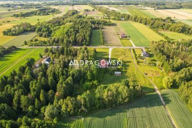 Działka ok 0,5 ha, spokój, natura, potencjał