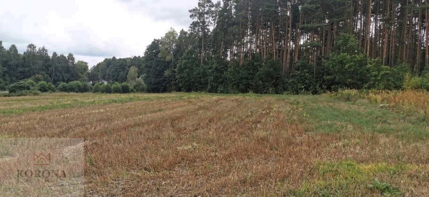 1,45 ha, las, możliwość uzyskania wz miniaturka 5