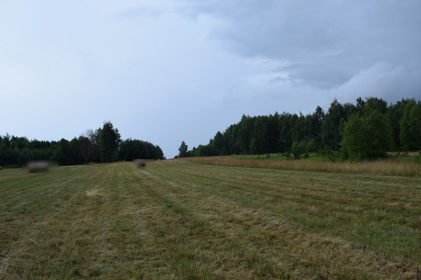 Działka budowlana 39a w Budach Głogowskich miniaturka 4