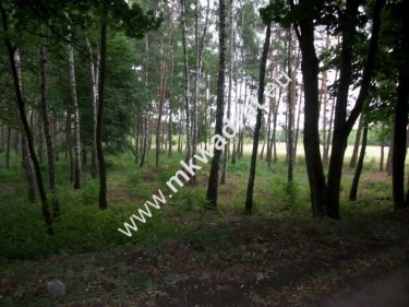 Działka rolna 13 600 m² Żabia Wola