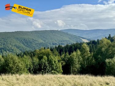 Zawoja Mosorne, 970 000 zł, 1.8 ha, droga dojazdowa gruntowa