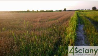 Błonie, 398 000 zł, 11.36 ar, droga dojazdowa utwardzona