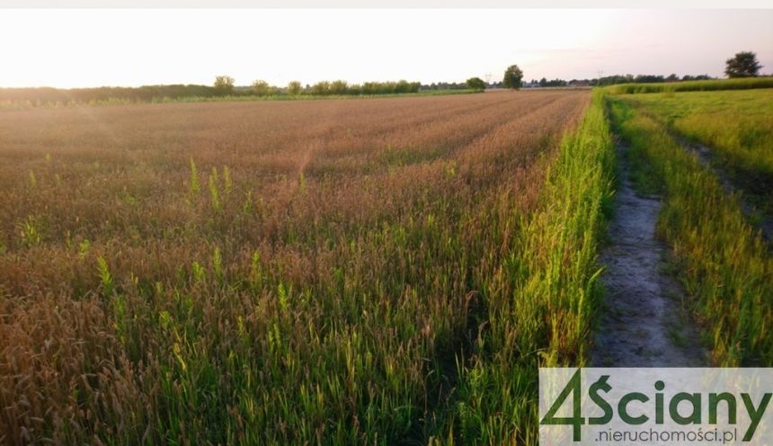 Błonie, 398 000 zł, 11.36 ar, droga dojazdowa utwardzona - zdjęcie 1