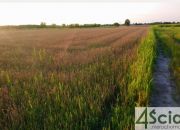 Błonie, 398 000 zł, 11.36 ar, droga dojazdowa utwardzona miniaturka 1