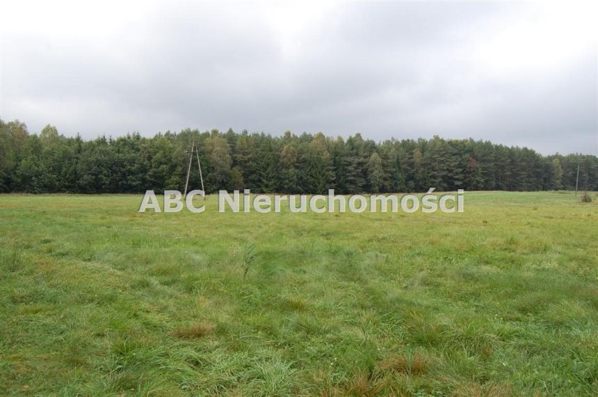 Płytnica, 560 000 zł, 2.8 ha, rolna miniaturka 3