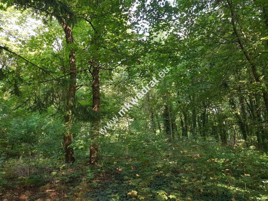 CIEKAWA działka w ścisłym centrum Podkowy L. miniaturka 4