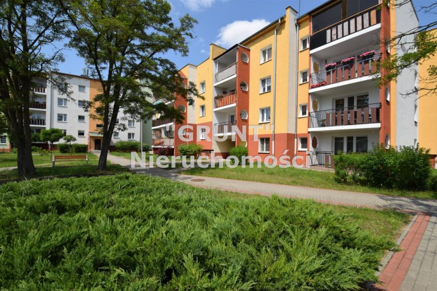 Umeblowane mieszkanie z dużą loggią miniaturka 14