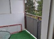 Międzyborska miniaturka 6
