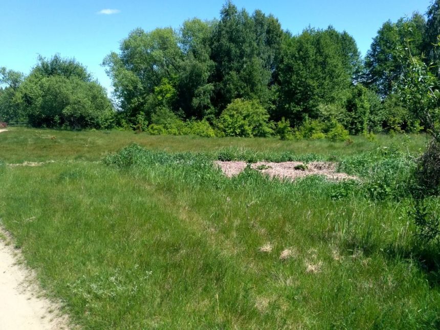 Działka o pow. 25 000 m² pod zabudowę i rekreację. miniaturka 4