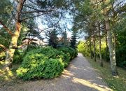 Kuznocin, 890 000 zł, 140 m2, z cegły miniaturka 3