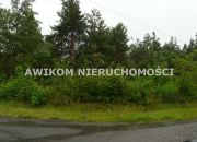Skierniewice, 600 000 zł, 55.61 ar, droga dojazdowa asfaltowa miniaturka 1