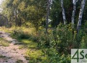 Czarny Las, 2 280 850 zł, 82.94 ar, woda w drodze miniaturka 1