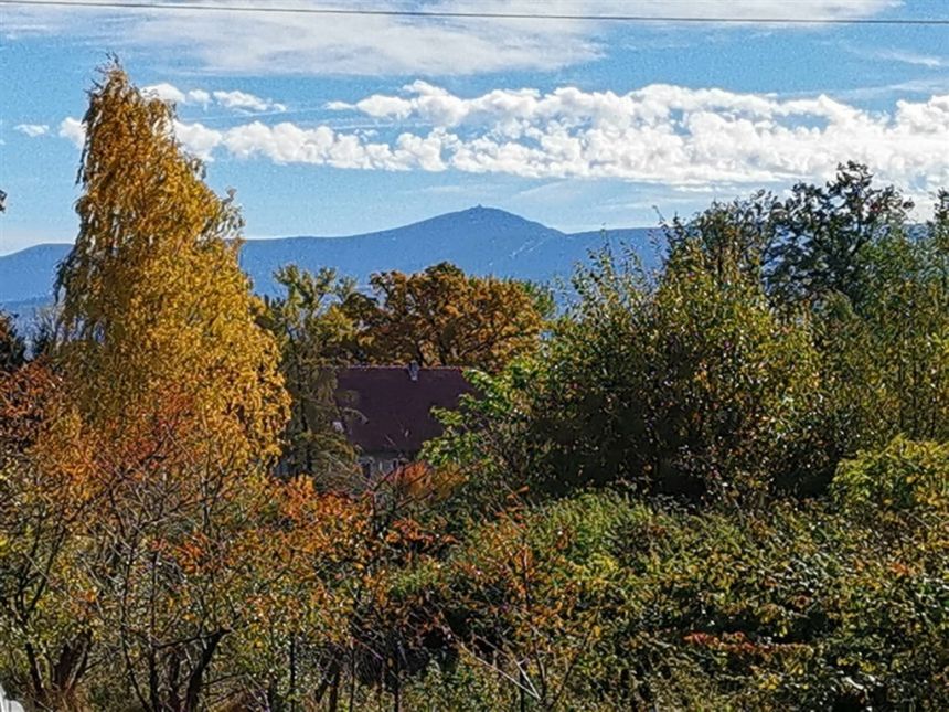 Wojcieszyce, 725 000 zł, 146 m2, ogrzewanie węglowe miniaturka 13