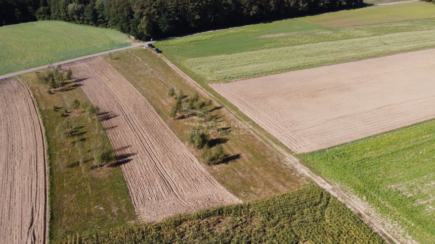 Działka w miejscowości Mroga Górna koło Brzezin miniaturka 3