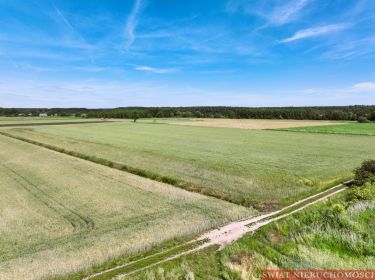 Masłowiec - na trasie Milicz /Trzebnica - ROLNA