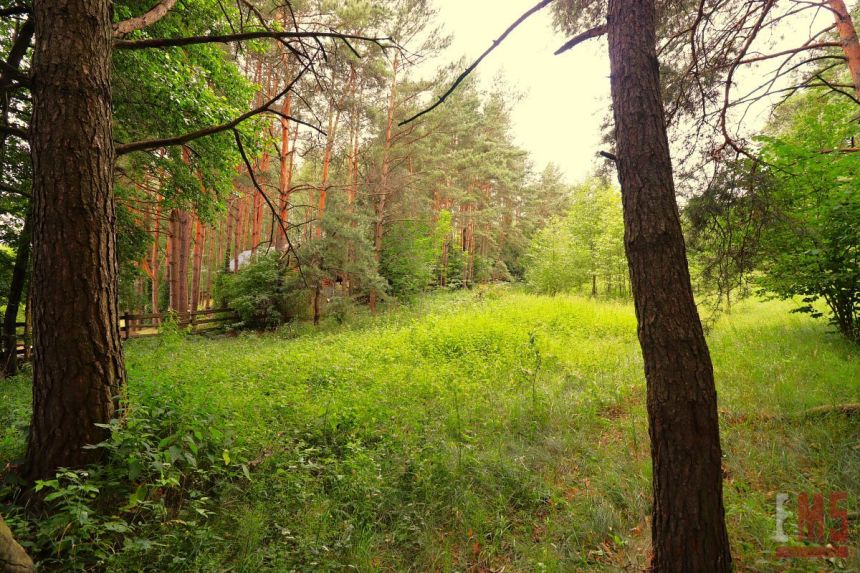 Sztabinki, 460 425 zł, 61.39 ar, droga dojazdowa utwardzona miniaturka 11