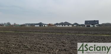 1000 m2 w Zaborówku