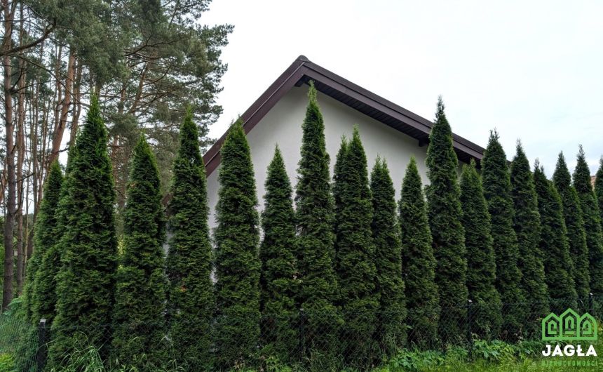 Działka ROD całoroczna Opławiec Bydgoszcz 400/60m2 miniaturka 3