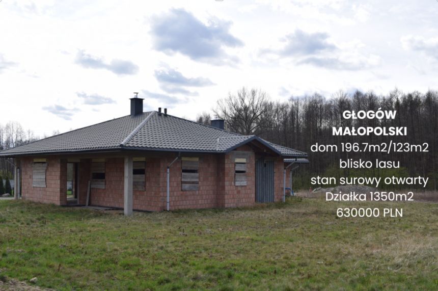 Dom 123m2 w okolicy Głogowa Małopolskiego - zdjęcie 1