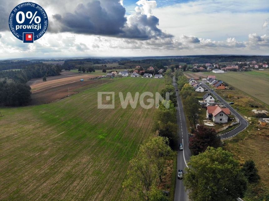 Brzeźnik, 2 450 000 zł, 3.5 ha, droga dojazdowa asfaltowa miniaturka 5