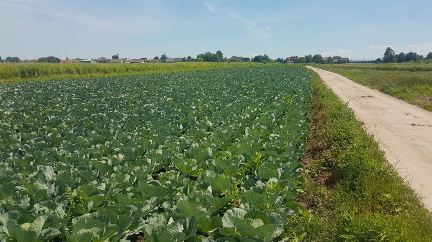 Działka udowlana okolice ul. Igołomskiej - zdjęcie 1