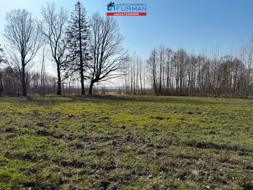 Siedlisko, 57 000 zł, 33 ar, rolna miniaturka 2