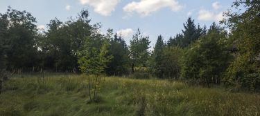 Nowe Grochale- ładna działka budowlana przy Wiśle