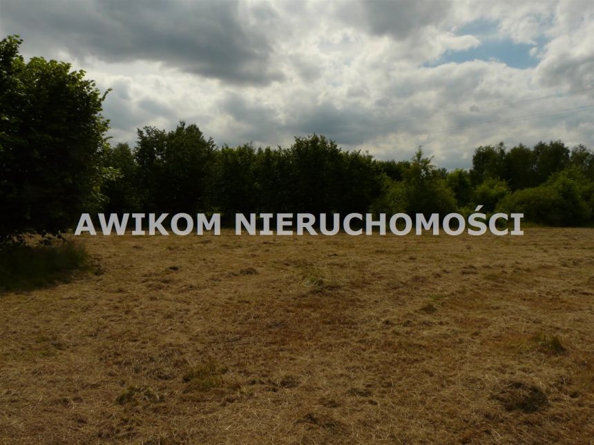 Grabina Radziwiłłowska, 110 000 zł, 10 ar, woda w drodze miniaturka 12
