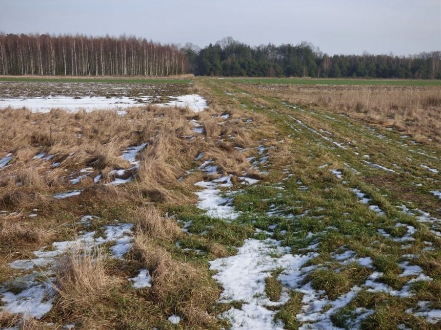 DZIAŁKA ROLNA 1,49 HA, ŁĘKAWA miniaturka 3