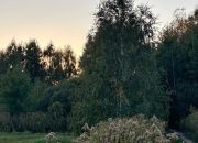 Działka rolna 2ha 20 km od Warszawy blisko S8 miniaturka 6